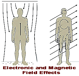 does EMF penetrate the body electronically and magnetically